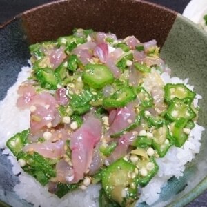 生姜とごま風味がベストマッチ『鯵ぶっかけ丼』